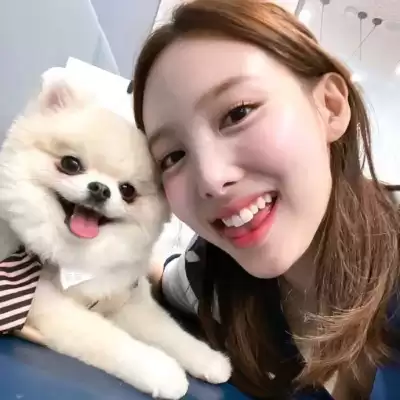 林丝微